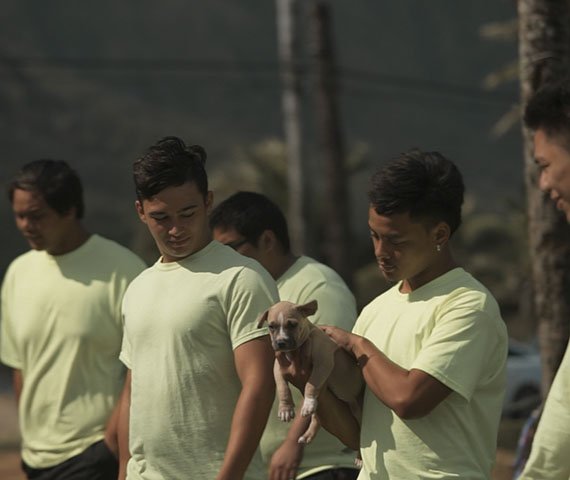 Kinai ʻEha, Extinguish Pain - still of five young men with a puppy - taken from a film produced by Hyperspective