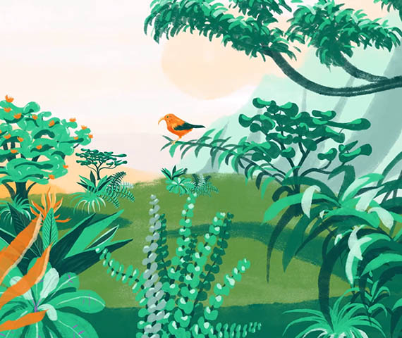 What is Biocontrol? still of an animated Hawaiian bird and forest taken from an animated film created and animated by Hyperspective