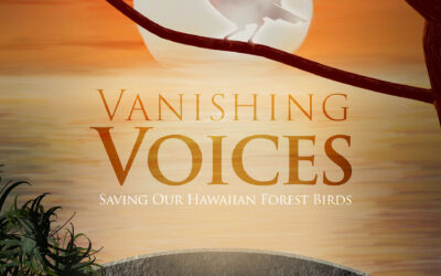 Vanishing Voices: Saving Our Hawaiian Forest Birds Film Poster - a documentary film produced by Hyperspective that includes video and animation