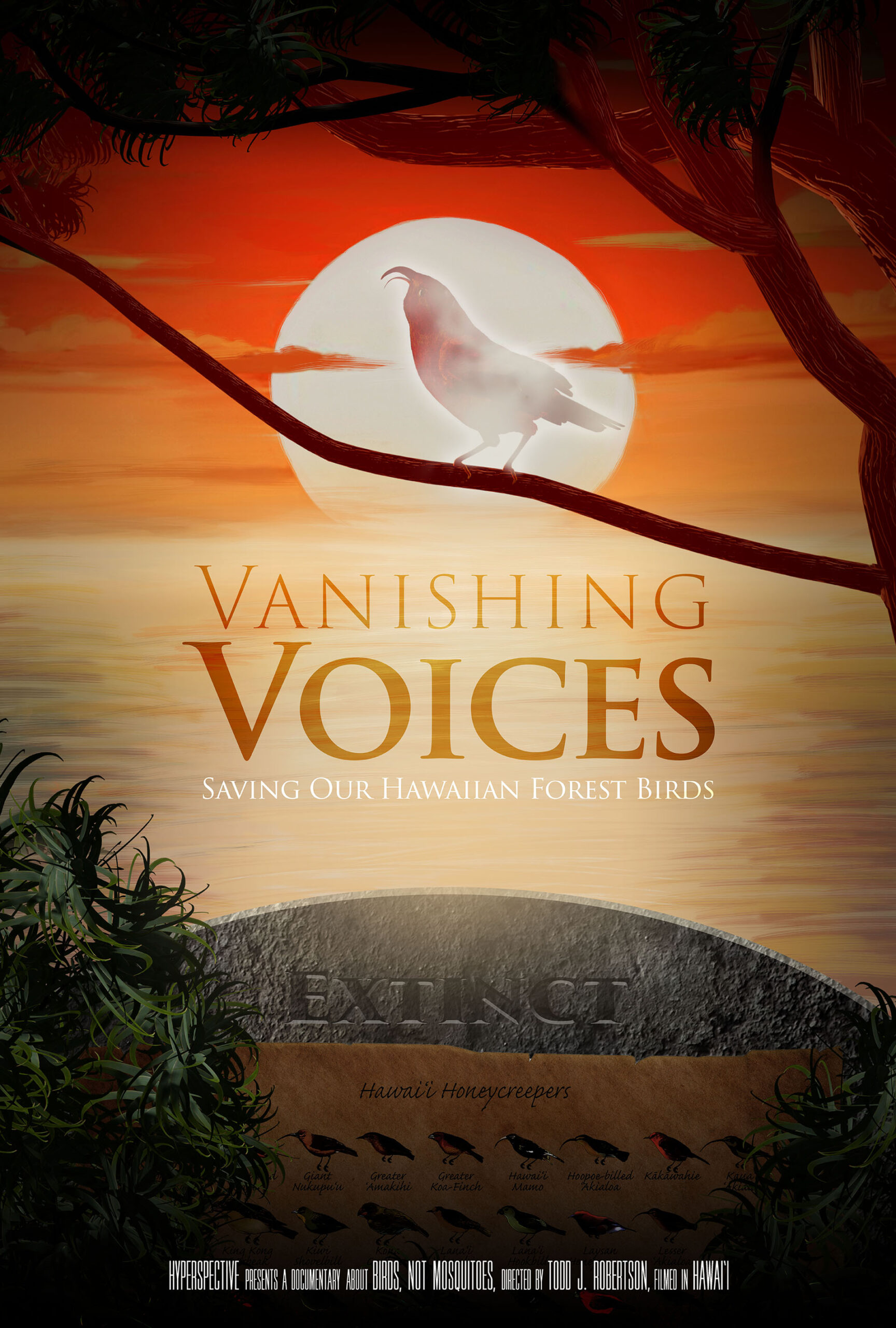 Vanishing Voices: Saving Our Hawaiian Forest Birds Film Poster - a documentary film produced by Hyperspective that includes video and animation